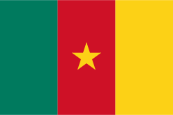 Cameroun flag