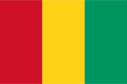 Guinée flag