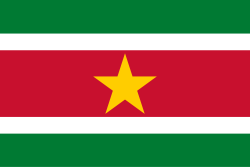 Surinam flag